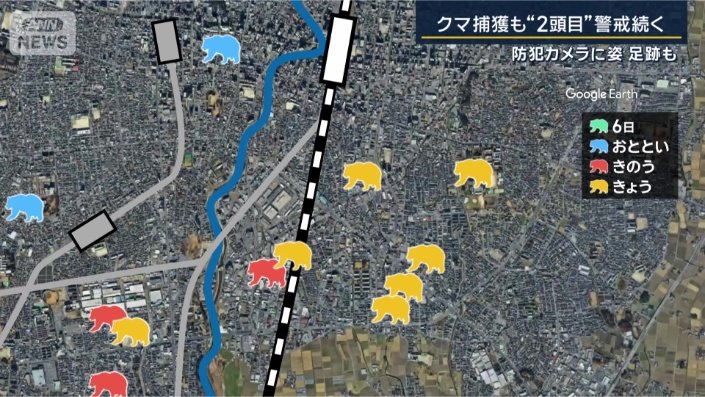 クマの目撃情報