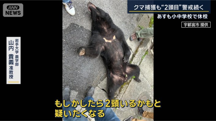 岩手大学農学部 山内貴義准教授