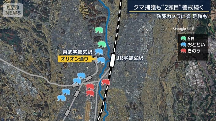 クマの目撃情報