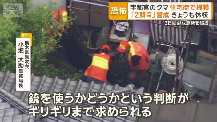 市街地を駆け回るクマの捕獲は困難