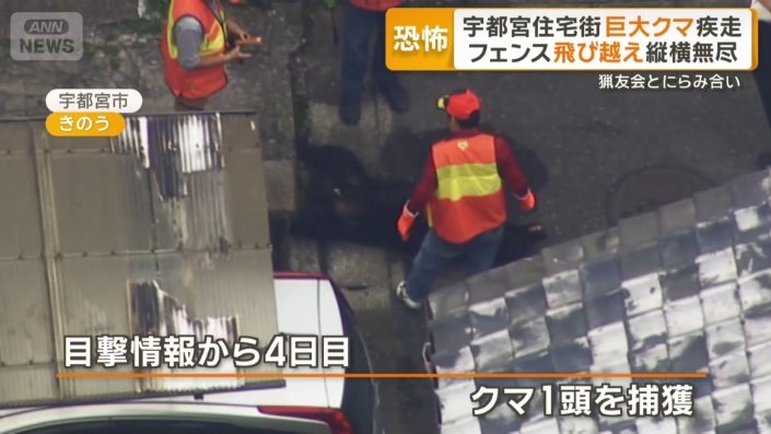 住宅街で1頭捕獲