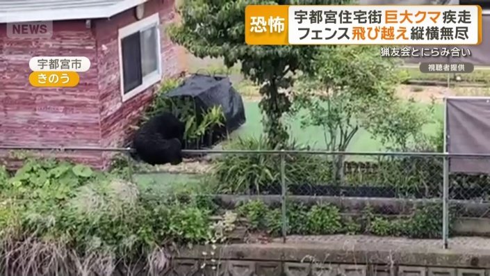 フェンスも簡単に乗り越えた
