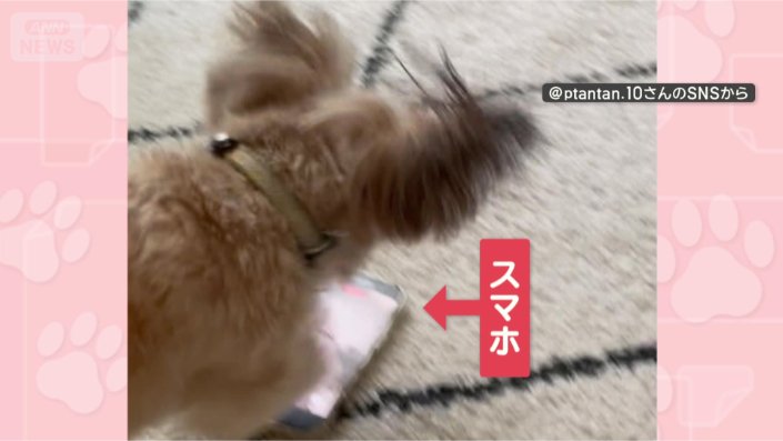 足元にはスマホが…