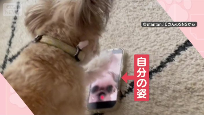 映っているのは自分！