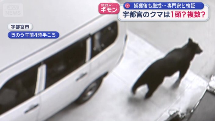 会社の車庫にもクマ