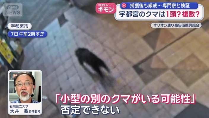 「『小型の別のクマがいる可能性』は否定できない」