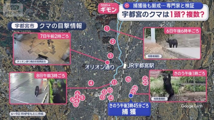 宇都宮市クマの目撃情報