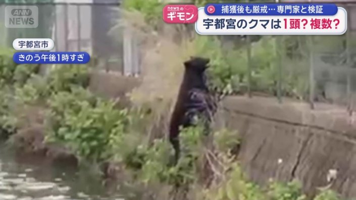 川の岸壁をよじのぼる