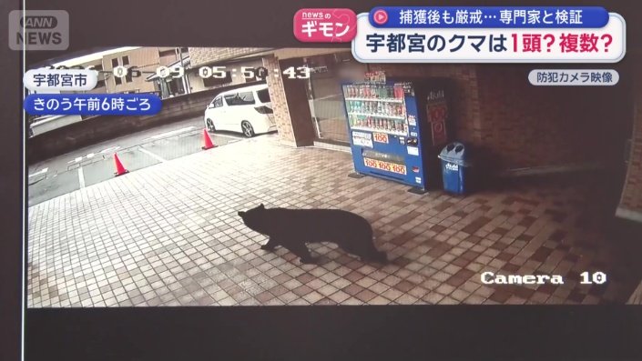 新たに入手した防犯カメラの映像