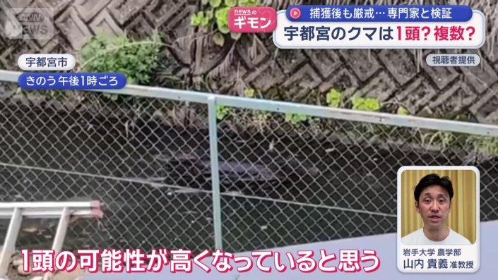 「1頭の可能性が高くなっていると思う」