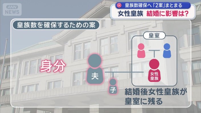 意見が分かれている