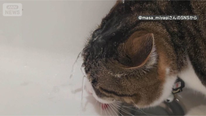 頭に水がジャー