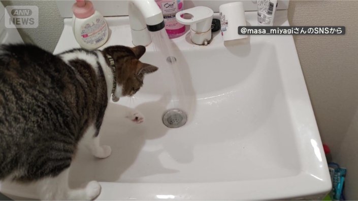 あ、水だ
