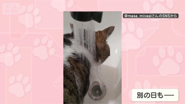 気にしませんよ
