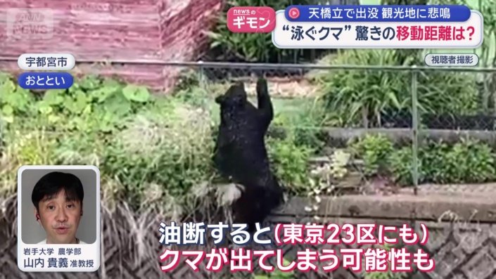 クマがどこに出ても不思議ではない
