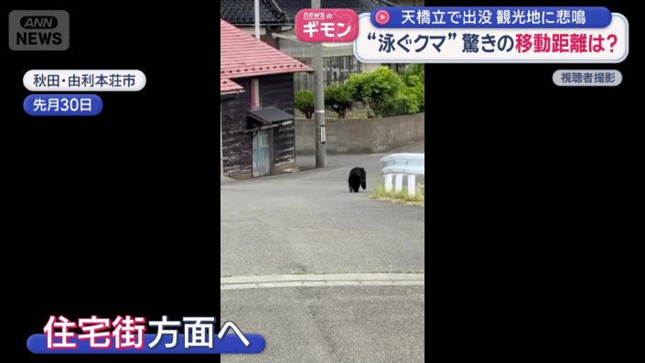 クマは住宅街の方向へ