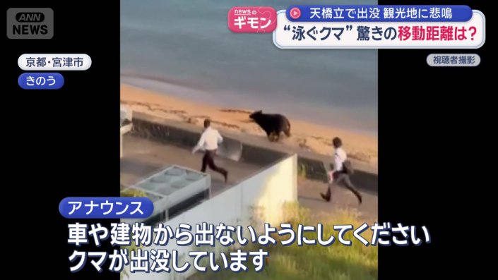 警察官がクマの真横を並走