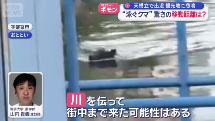 「川を伝って街中まで来た可能性」