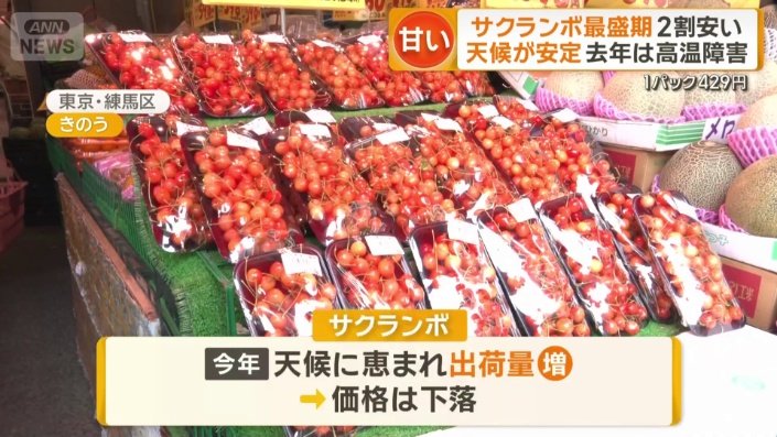 都内のスーパーで「佐藤錦」が2割安に