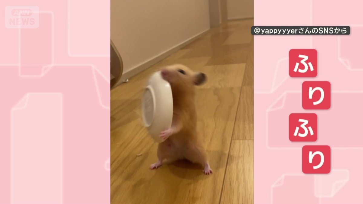 おやつ用のお皿をフリフリ