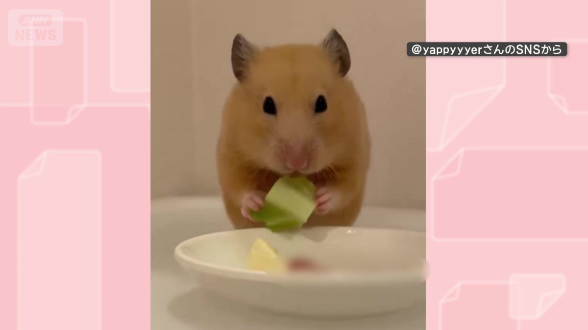 おやつの時間。