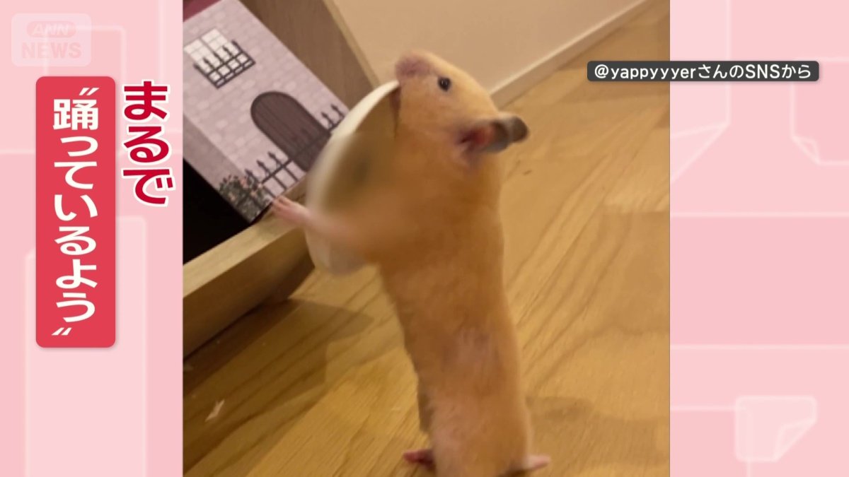 まるで踊っているよう