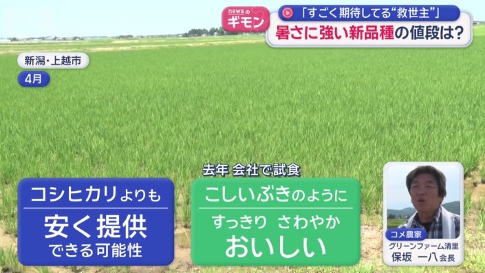 「コシヒカリ」より安い?