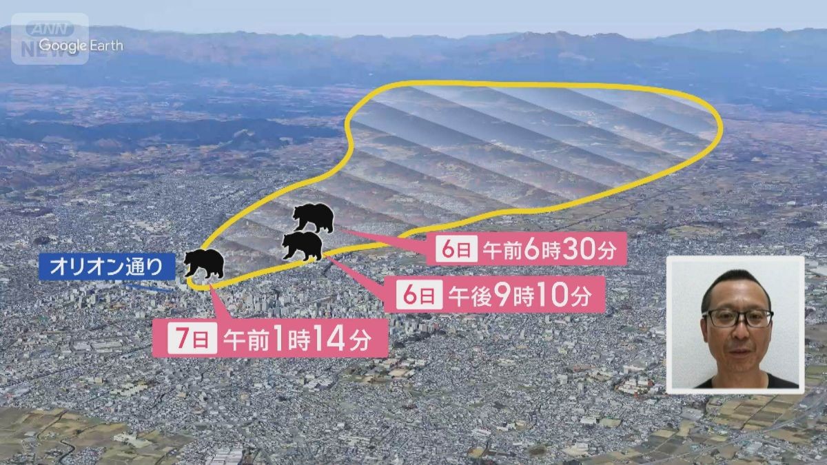【独自検証】都市中心部にクマ出現の考えられる要因とは？東京も例外でない共通点