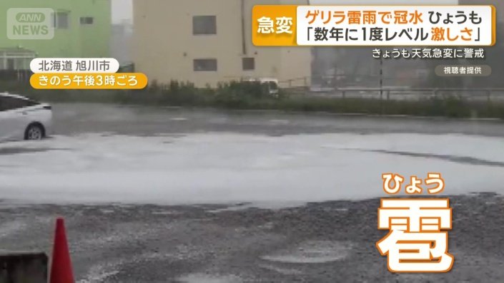 地面にはひょう