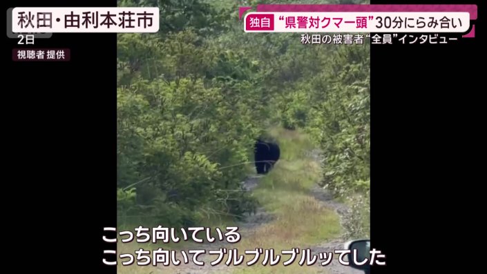 クマ