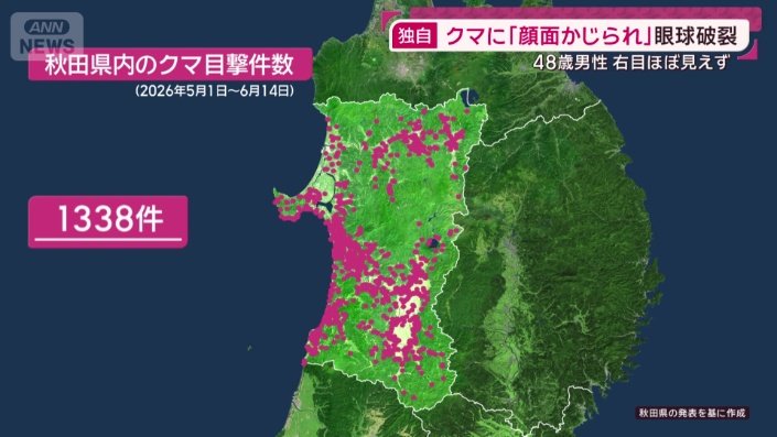 秋田県内　クマの目撃件数