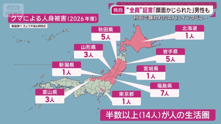 クマによる人身被害