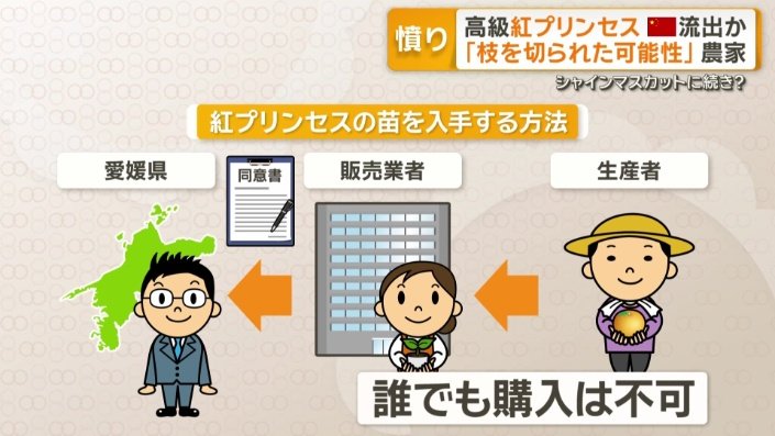 誰でも購入できるわけではない