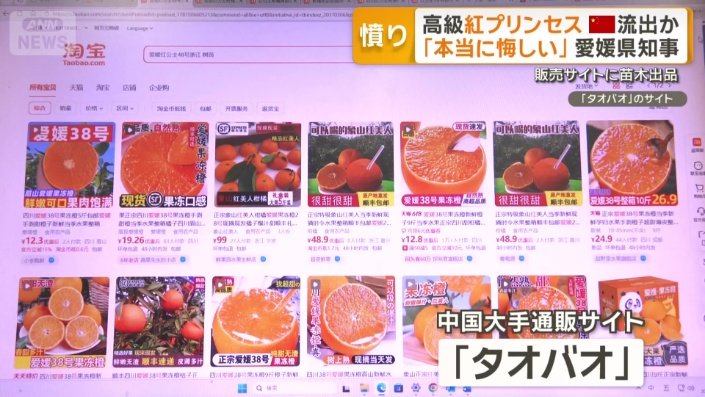 愛媛県以外での生産が認められていないが…
