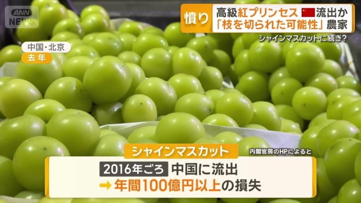 過去には「シャインマスカット」も