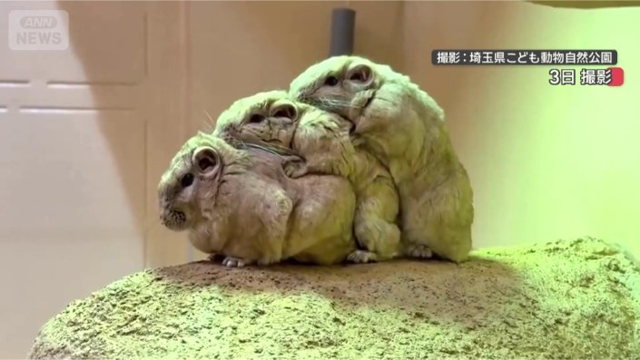 ピッタリ重なります
