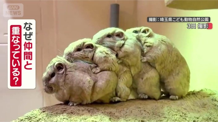 なぜピッタリ重なるの？