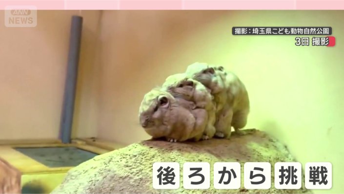 後ろならどうだ！？