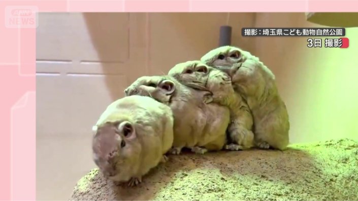 あ、失敗