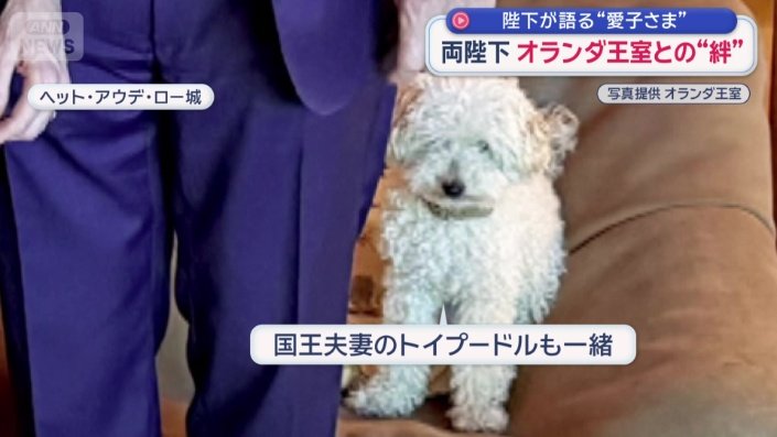 国王夫妻の犬も一緒