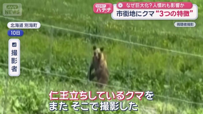 仁王立ちしているクマ