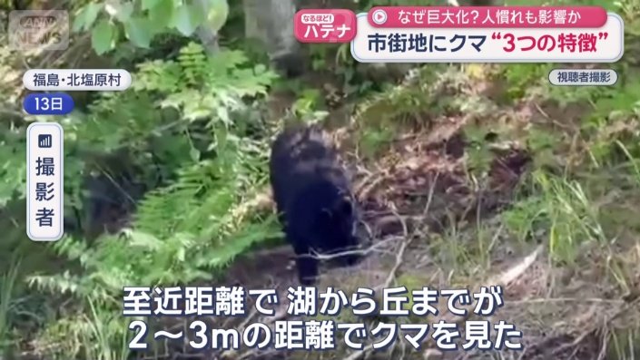 檜原湖でクマ目撃