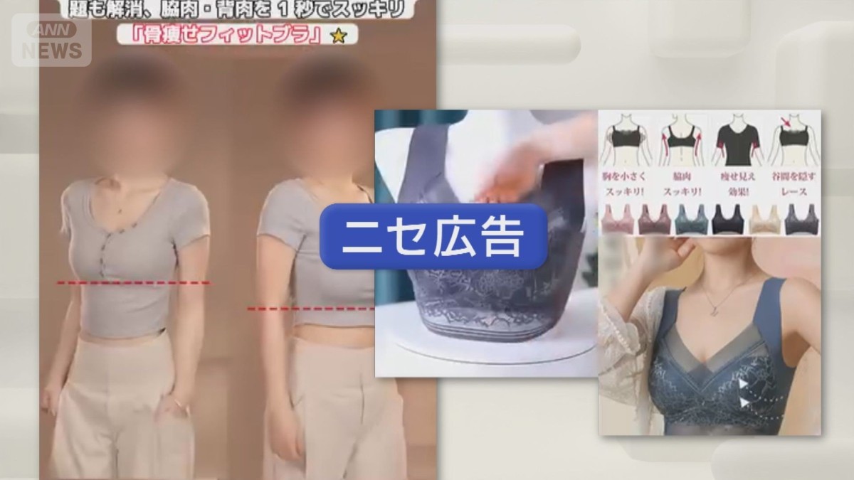 狙われる“日本ブランド”相次ぐニセ広告被害