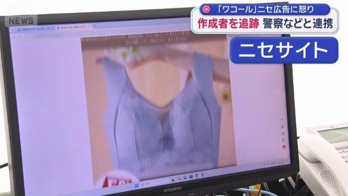 ニセサイト