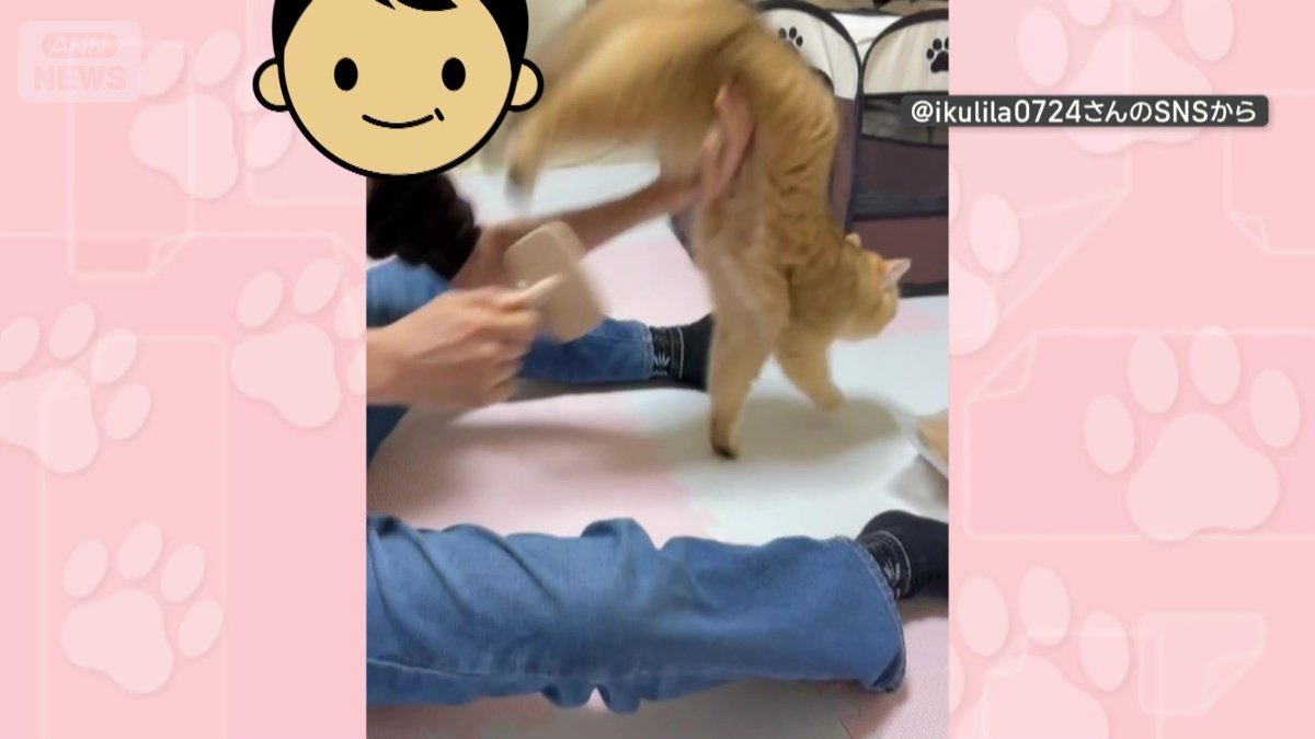 おしりにブラシが近づくと…再びジャンプ