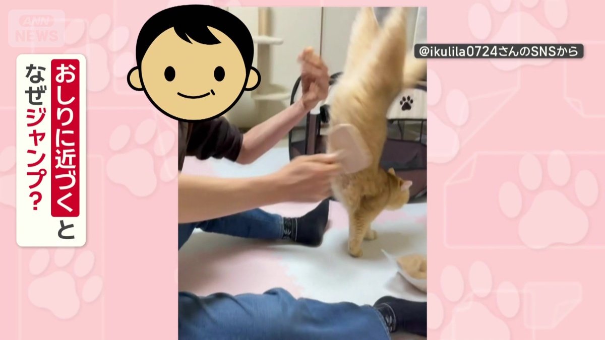 おしりに近づくとなぜジャンプ？