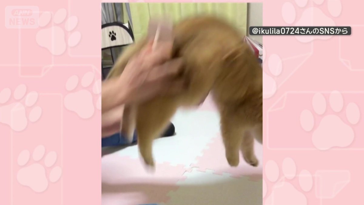 おしりスイッチ発動？大ジャンプ！