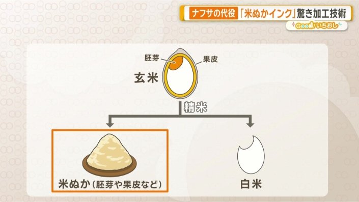 コメぬかの約20%が油分