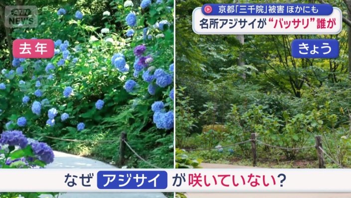美しい庭園が人気の三千院