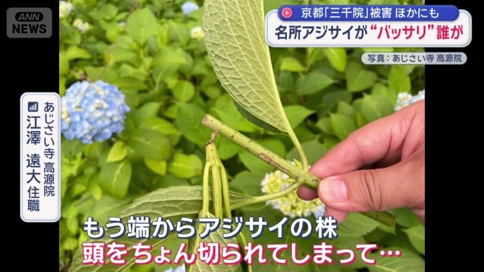 長野県でも被害